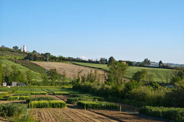 30-04-25-sessione-pratica (6)