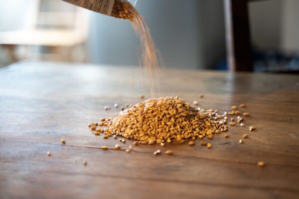 farro