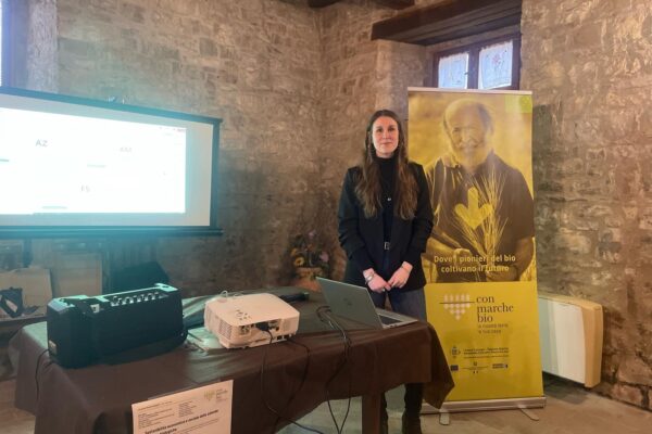 WhatsApp Image 2025-03-12 at 09.21.31