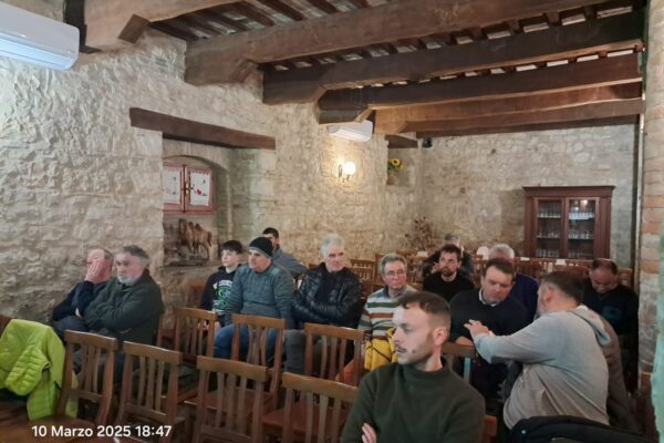 WhatsApp Image 2025-03-12 at 09.21.46 (1)