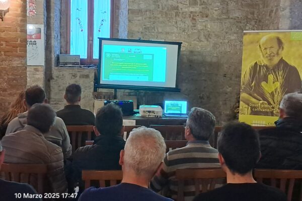 WhatsApp Image 2025-03-12 at 09.21.49 (1)