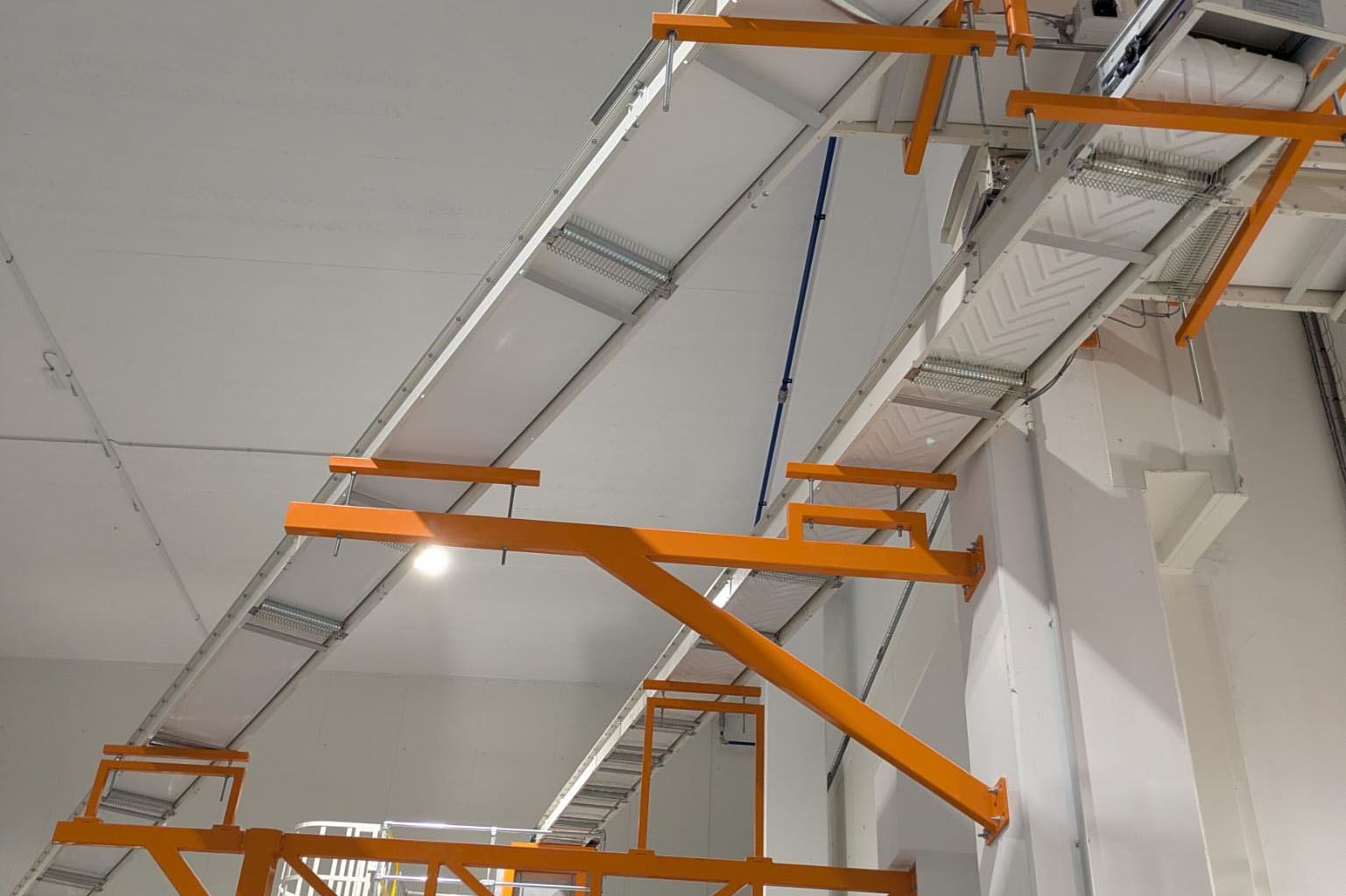 INVESTIMENTI STRUTTURALI PSR MARCHE 2014-2022 Sottomisura 4.2 - Consorzio Marche Bio